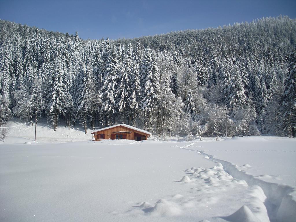 Chalet Au Bord Du Lac De Longemer Xonrupt-Longemer Zimmer foto