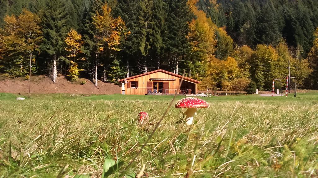 Chalet Au Bord Du Lac De Longemer Xonrupt-Longemer Exterior foto