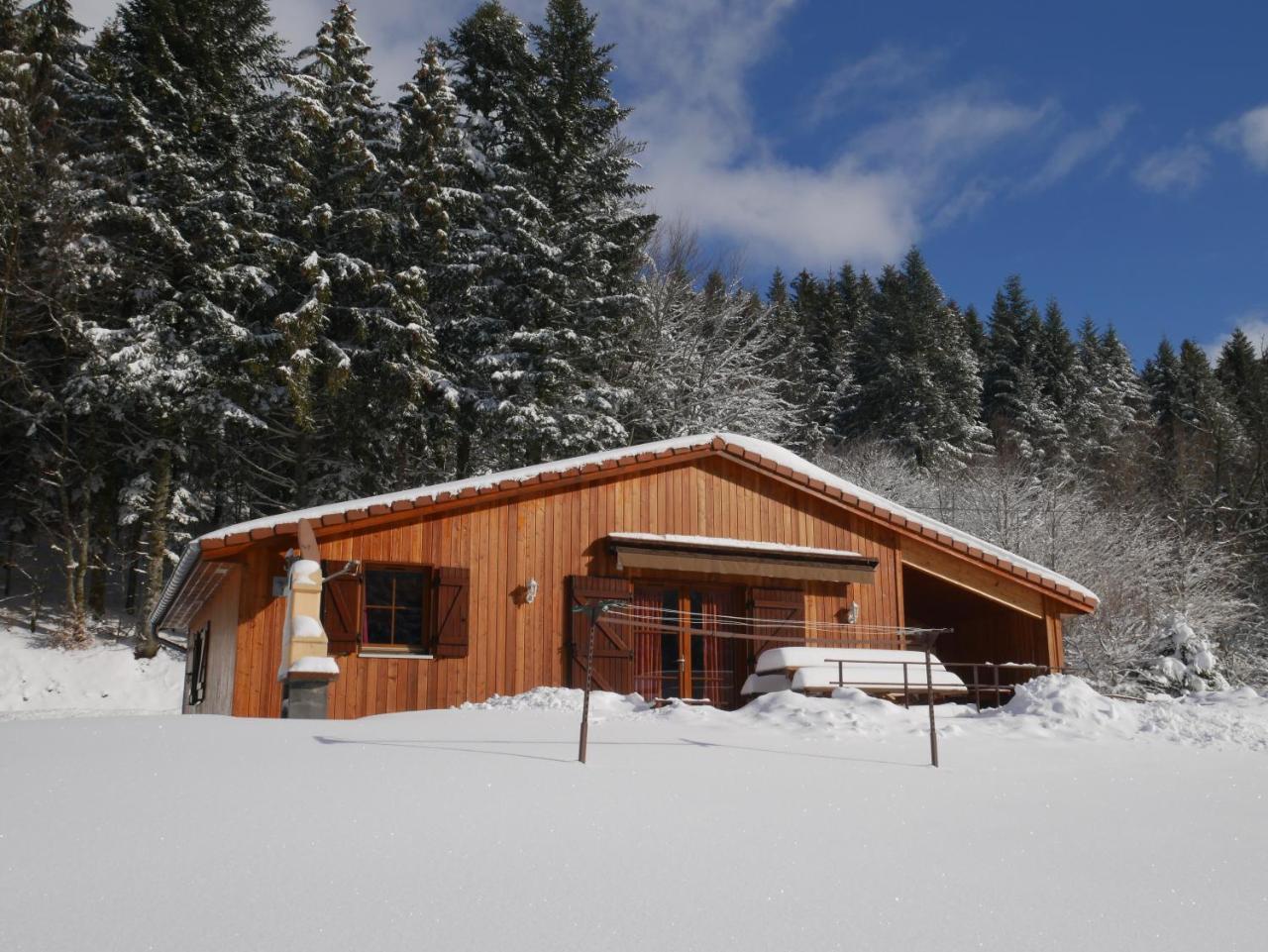 Chalet Au Bord Du Lac De Longemer Xonrupt-Longemer Exterior foto