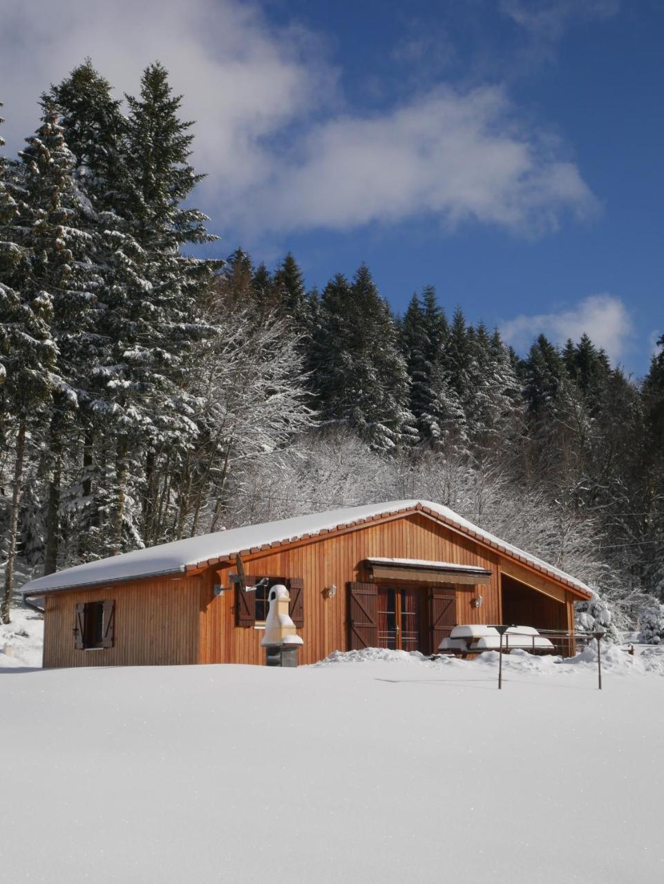 Chalet Au Bord Du Lac De Longemer Xonrupt-Longemer Exterior foto